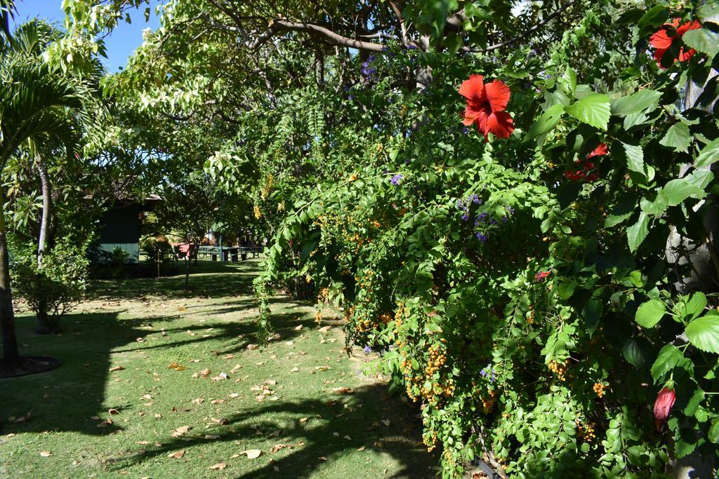 Nona Lani Cottages Кихеи Екстериор снимка